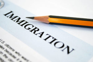 Immigration and Visa Services